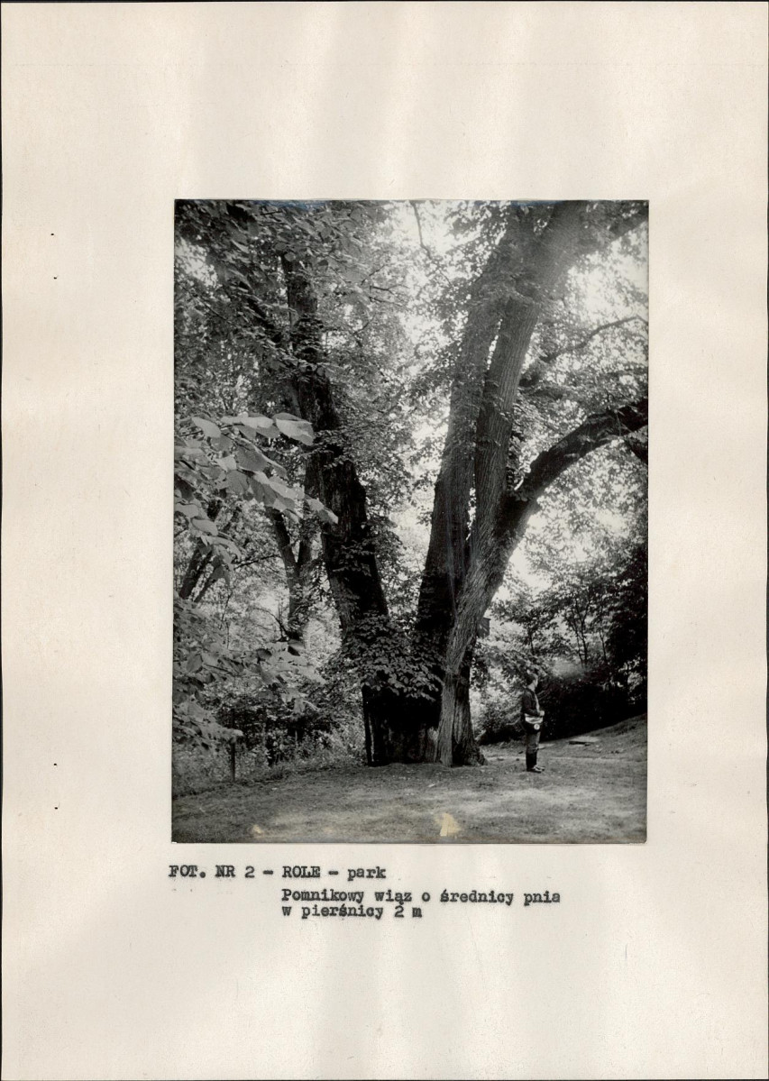 Ewidencja parkowa, skan nr 16