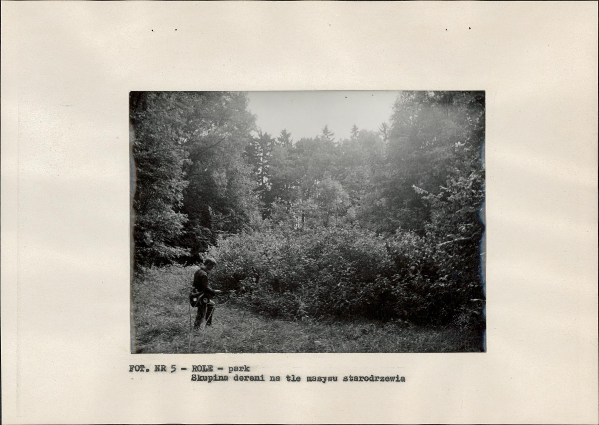 Ewidencja parkowa, skan nr 19