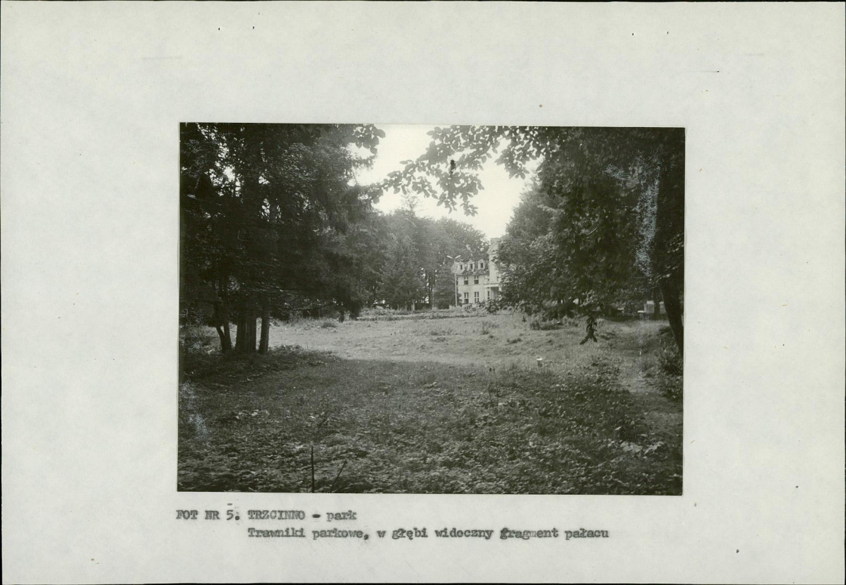 Ewidencja parkowa, skan nr 21