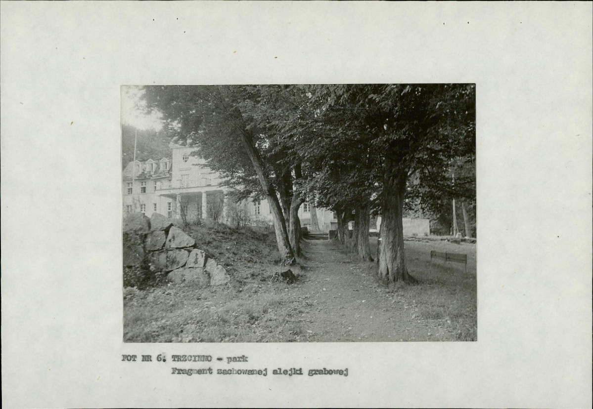 Ewidencja parkowa, skan nr 22