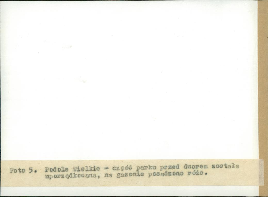 EP - Ewidencja parkowa, skan nr 29