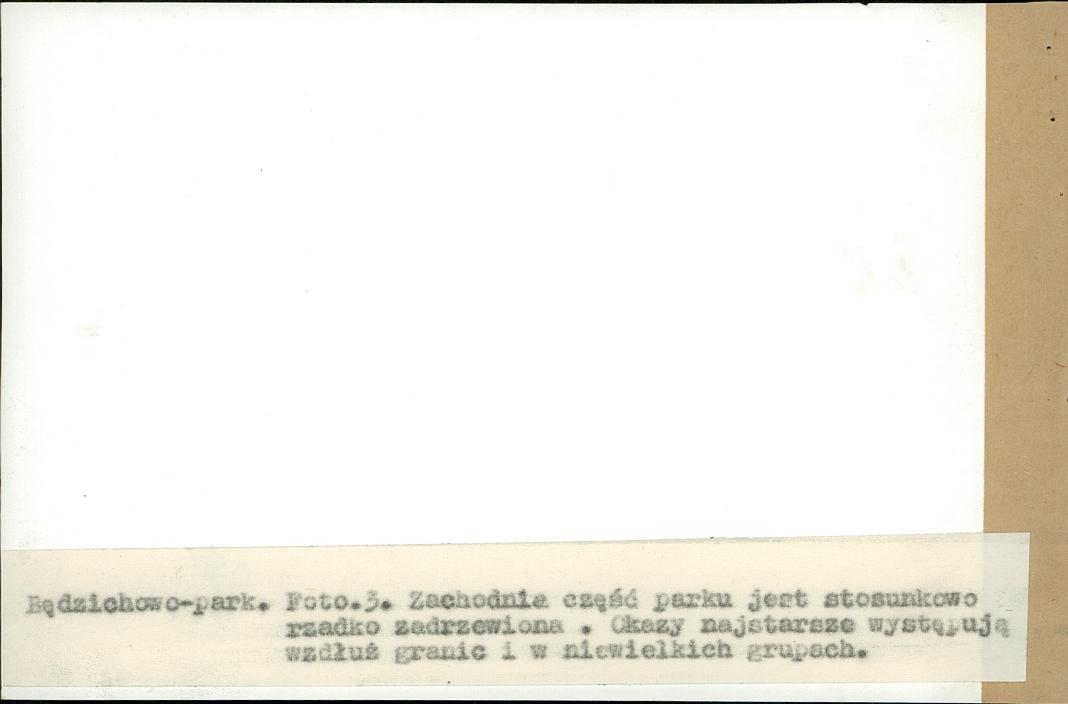 EP - Ewidencja parkowa, skan nr 27