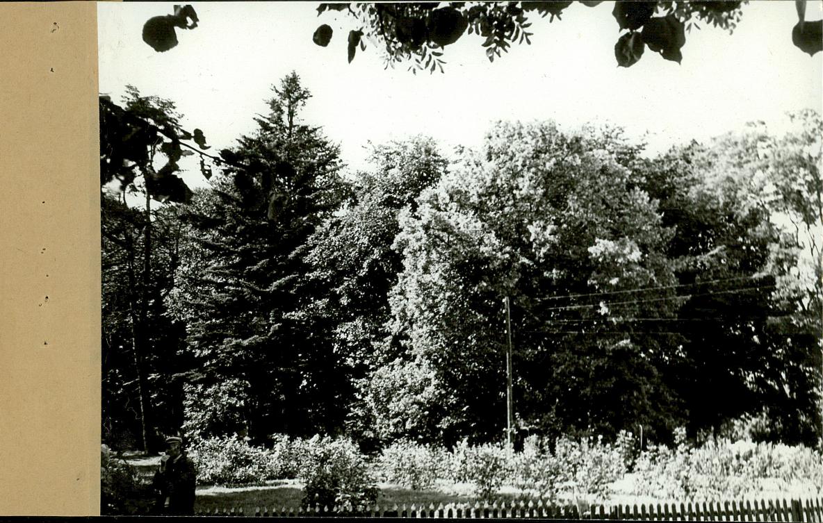 EP - Ewidencja parkowa, skan nr 22