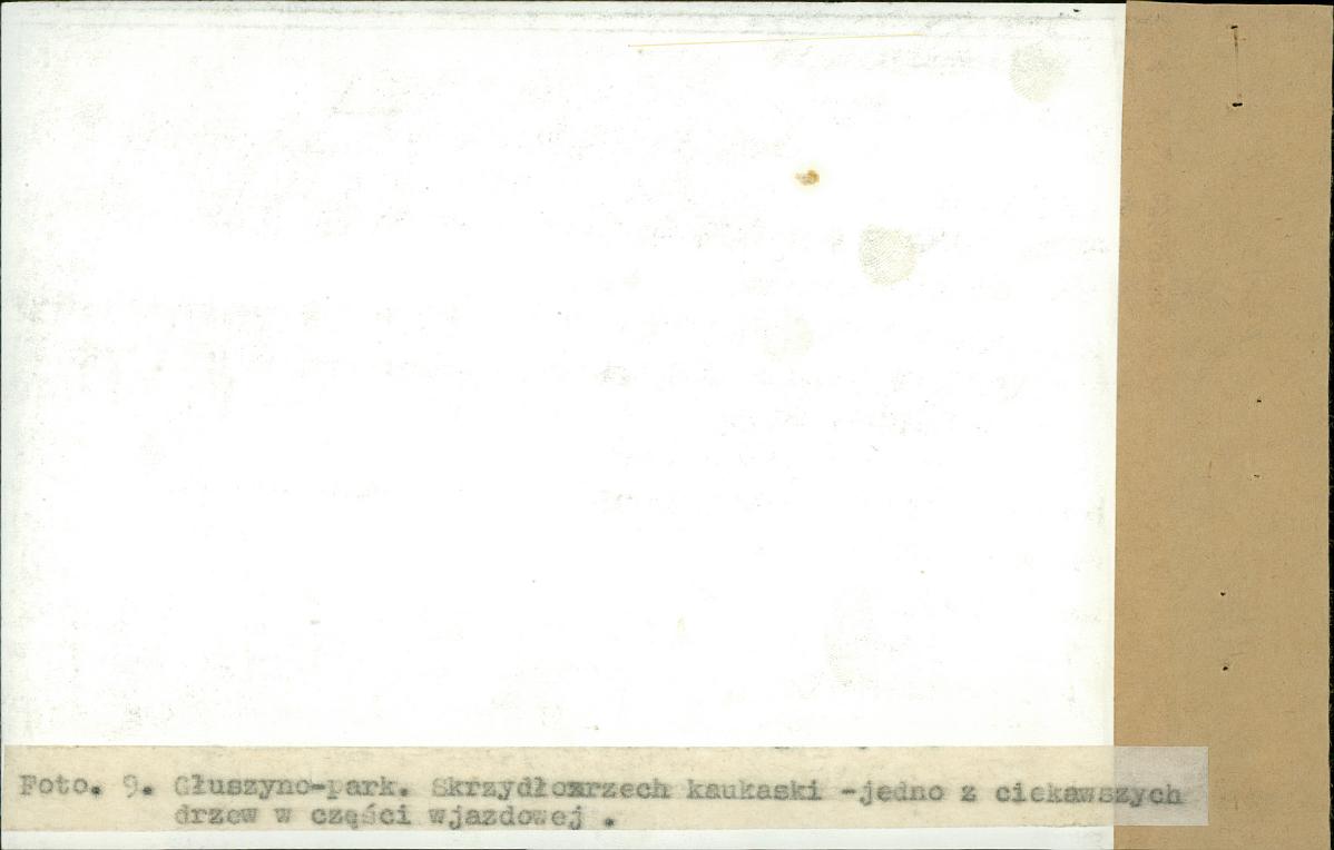 EP - Ewidencja parkowa, skan nr 35