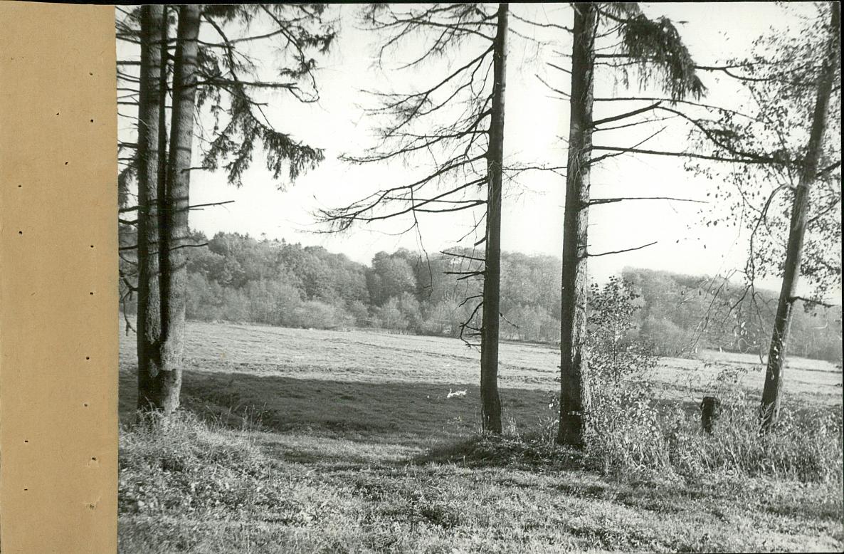 EP - Ewidencja parkowa, skan nr 29