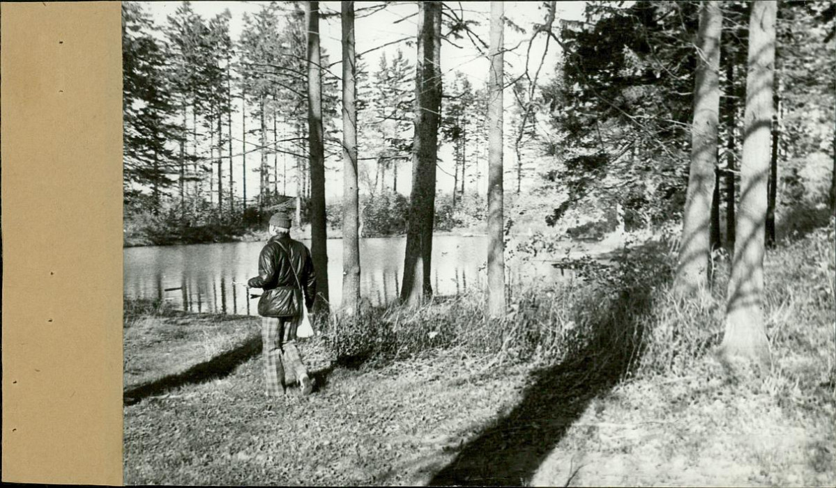 EP - Ewidencja parkowa, skan nr 30