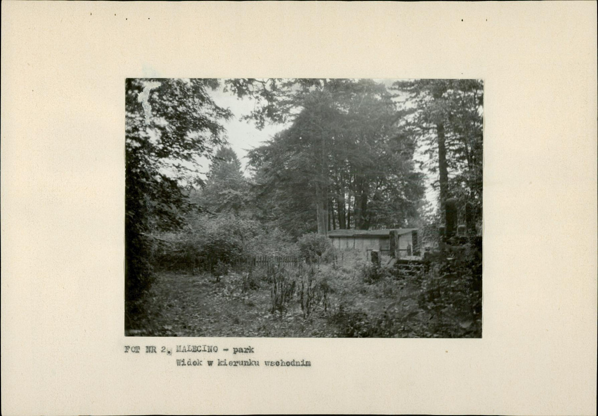 Ewidencja parkowa, skan nr 19