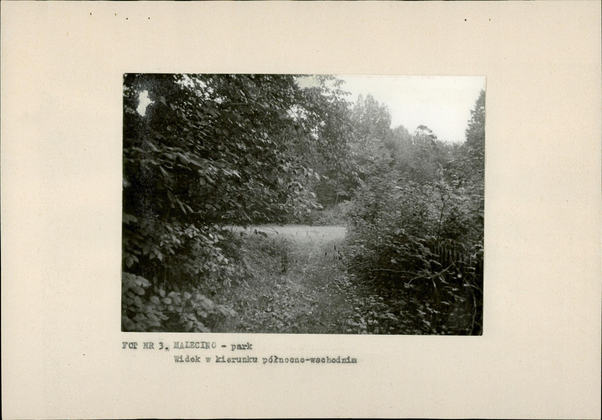 Ewidencja parkowa, skan nr 20