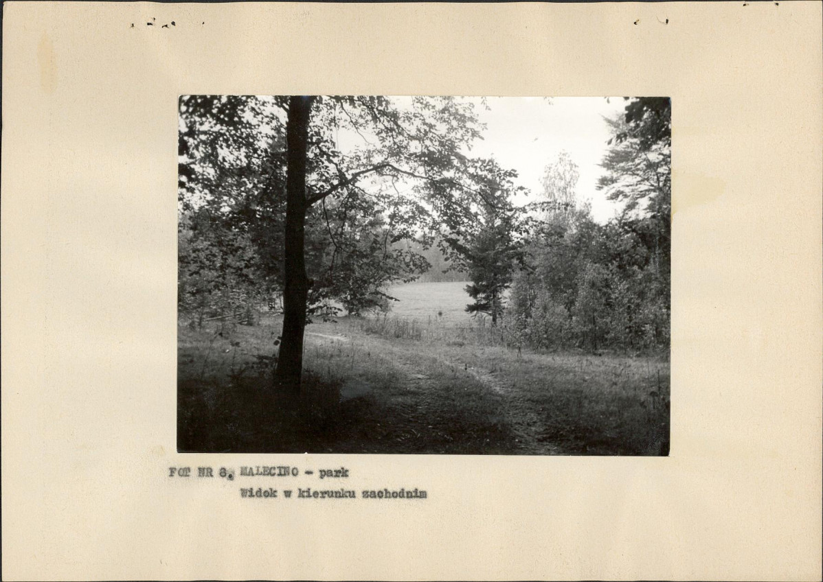 Ewidencja parkowa, skan nr 25