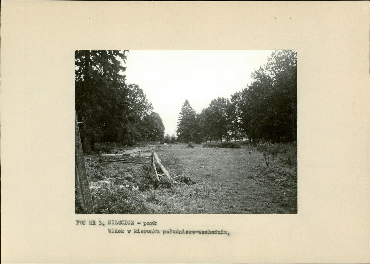 Ewidencja parkowa, skan nr 19