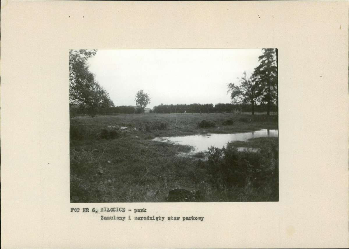 Ewidencja parkowa, skan nr 22