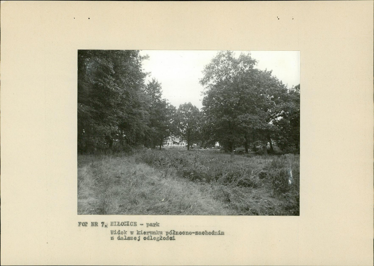 Ewidencja parkowa, skan nr 23