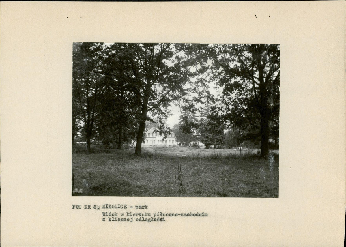Ewidencja parkowa, skan nr 24