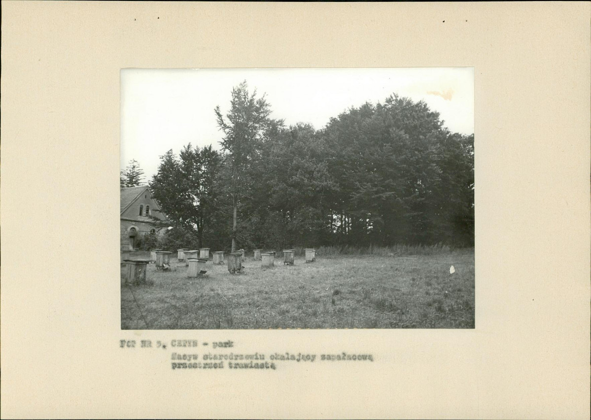 Ewidencja parkowa, skan nr 20