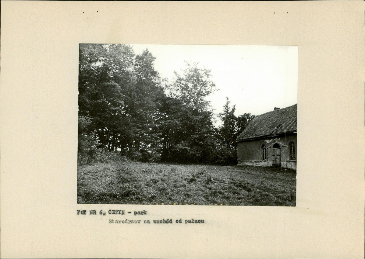 Ewidencja parkowa, skan nr 21