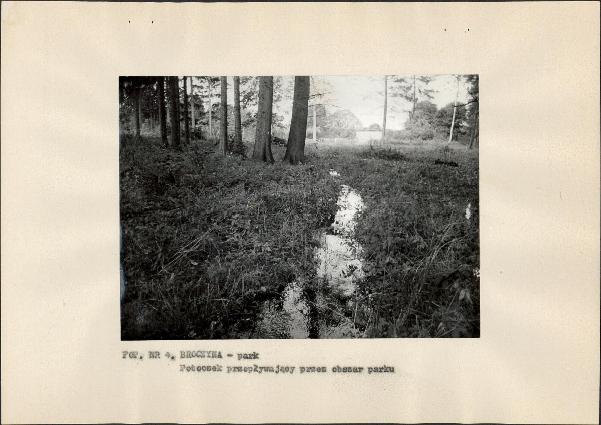 Ewidencja parkowa, skan nr 20