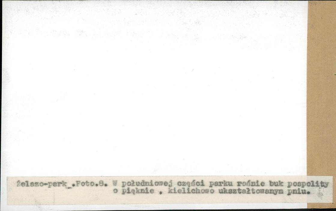 EP - Ewidencja parkowa, skan nr 38
