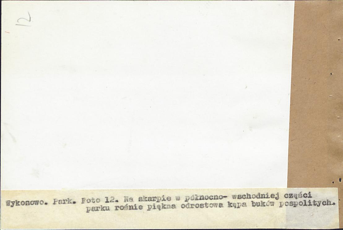 EP - Ewidencja parkowa, skan nr 46