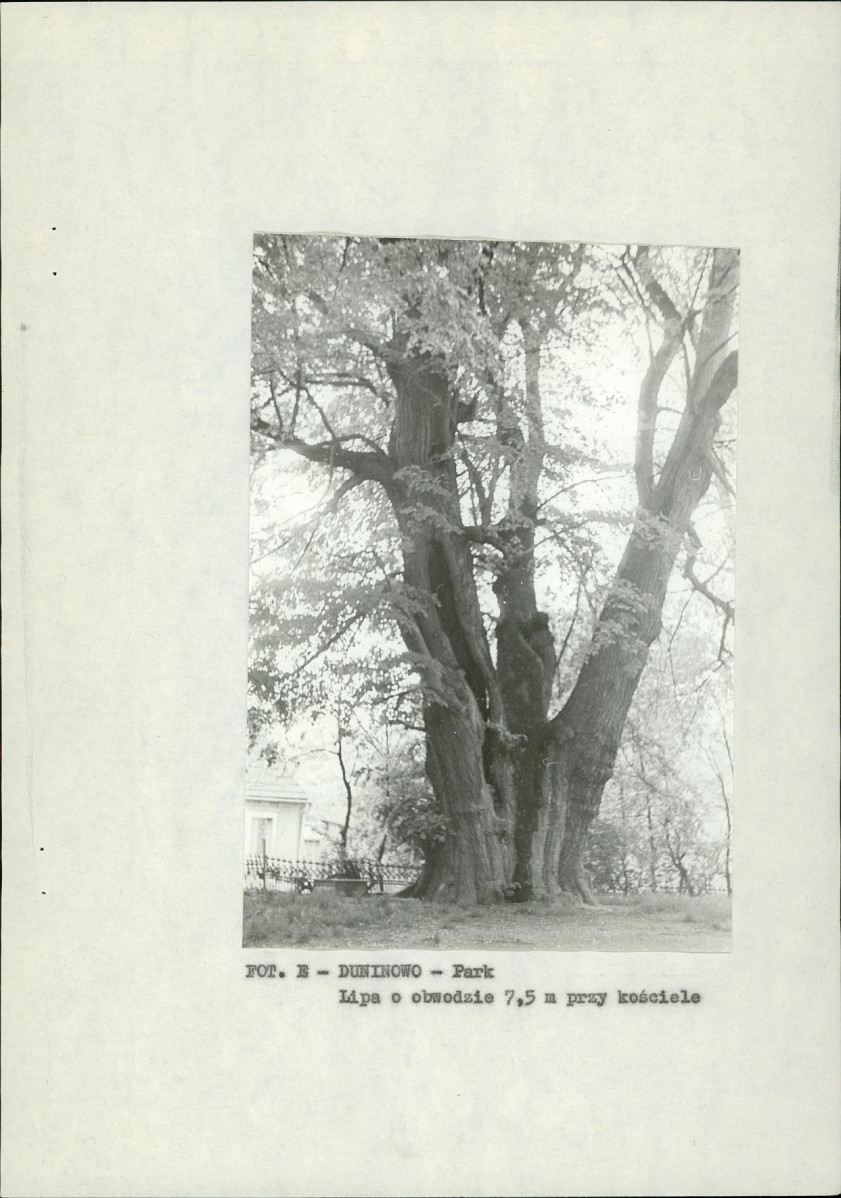 EP - Ewidencja parkowa, skan nr 18