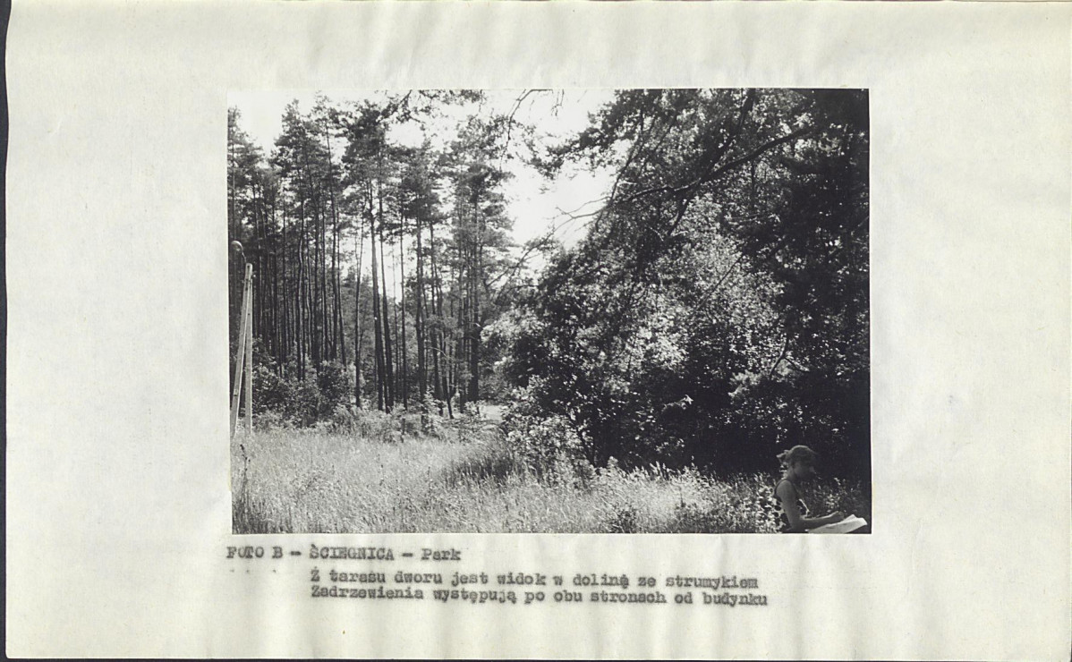 EP - Ewidencja parkowa, skan nr 14