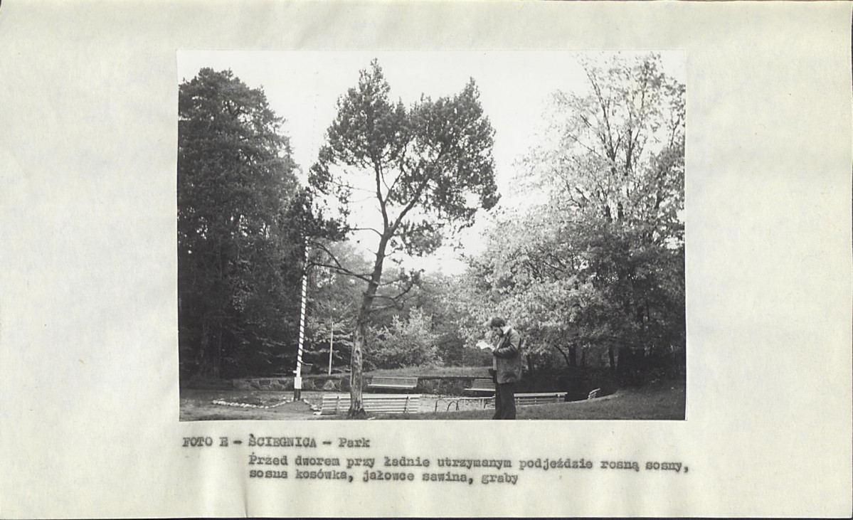 EP - Ewidencja parkowa, skan nr 17