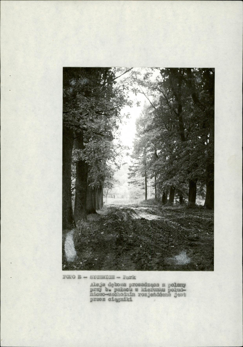 EP - Ewidencja parkowa, skan nr 16