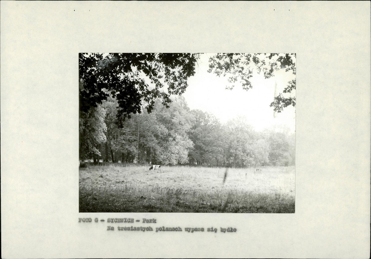 EP - Ewidencja parkowa, skan nr 21