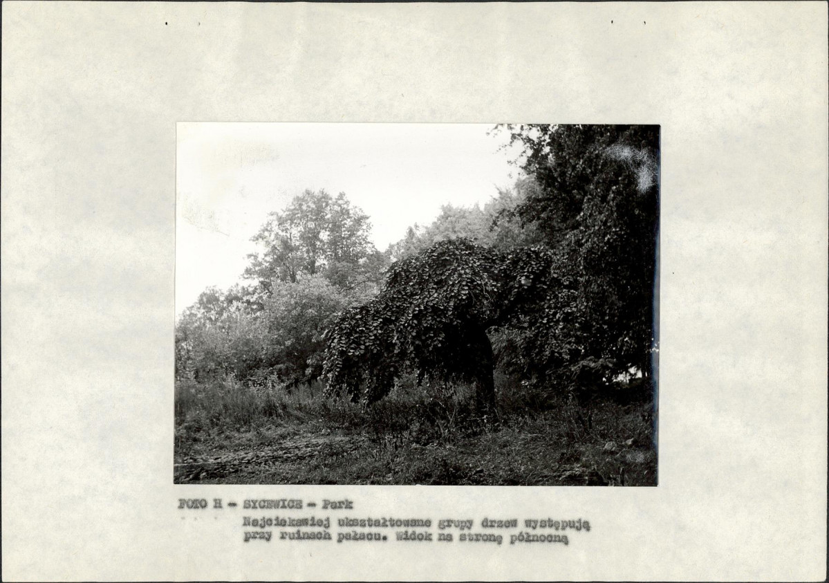 EP - Ewidencja parkowa, skan nr 22