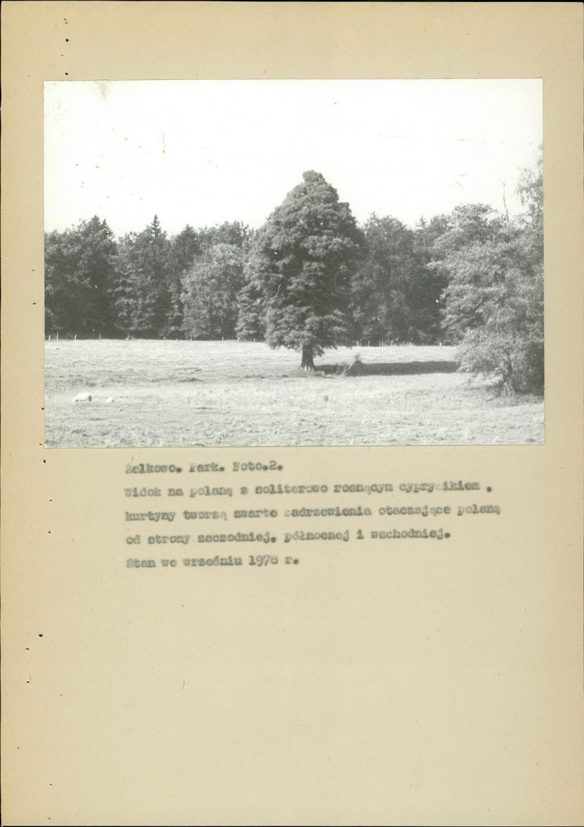 EP - Ewidencja parkowa, skan nr 28