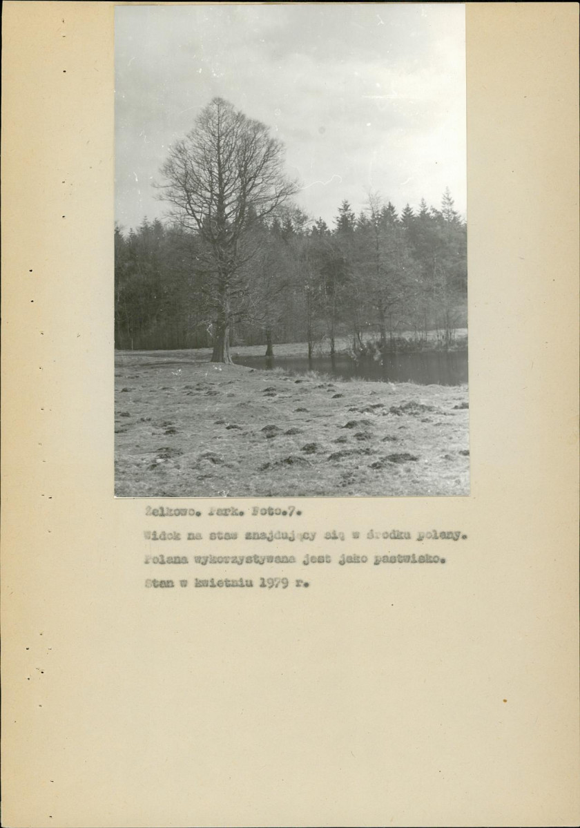 EP - Ewidencja parkowa, skan nr 35