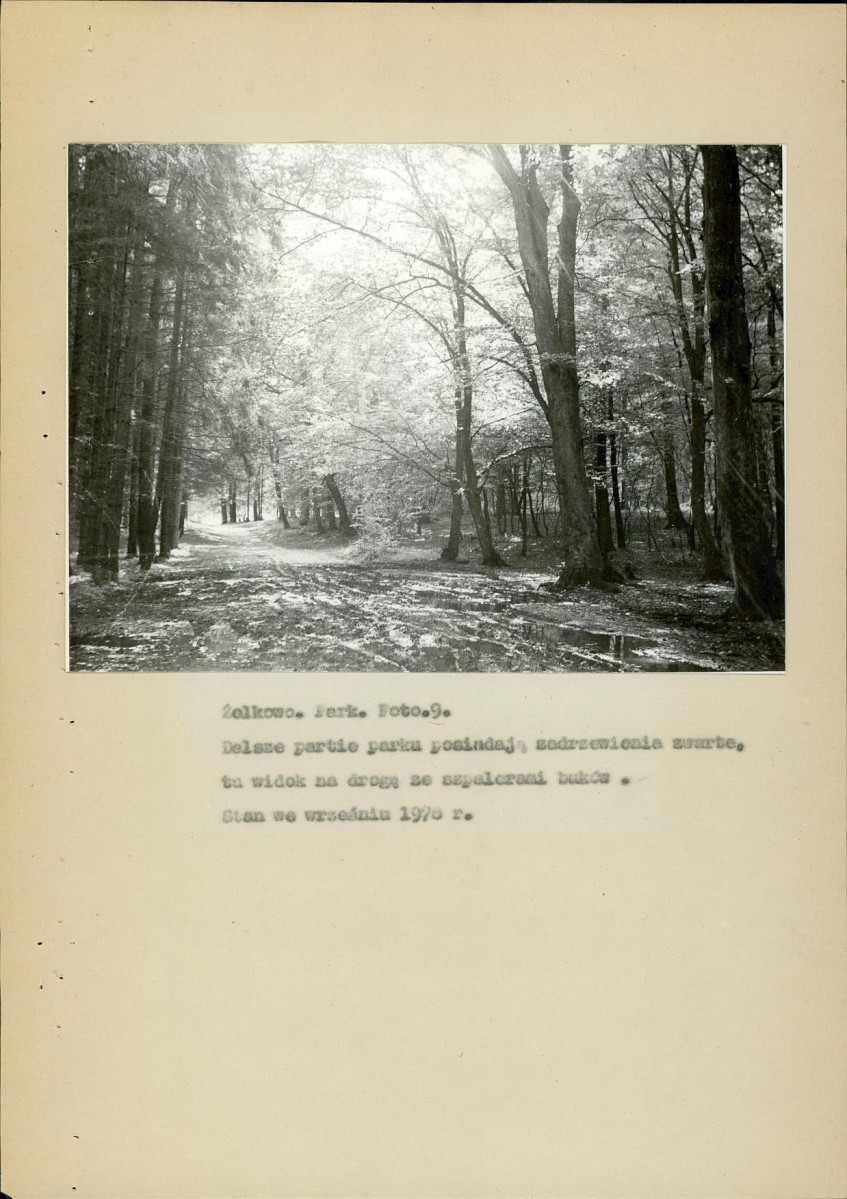 EP - Ewidencja parkowa, skan nr 36