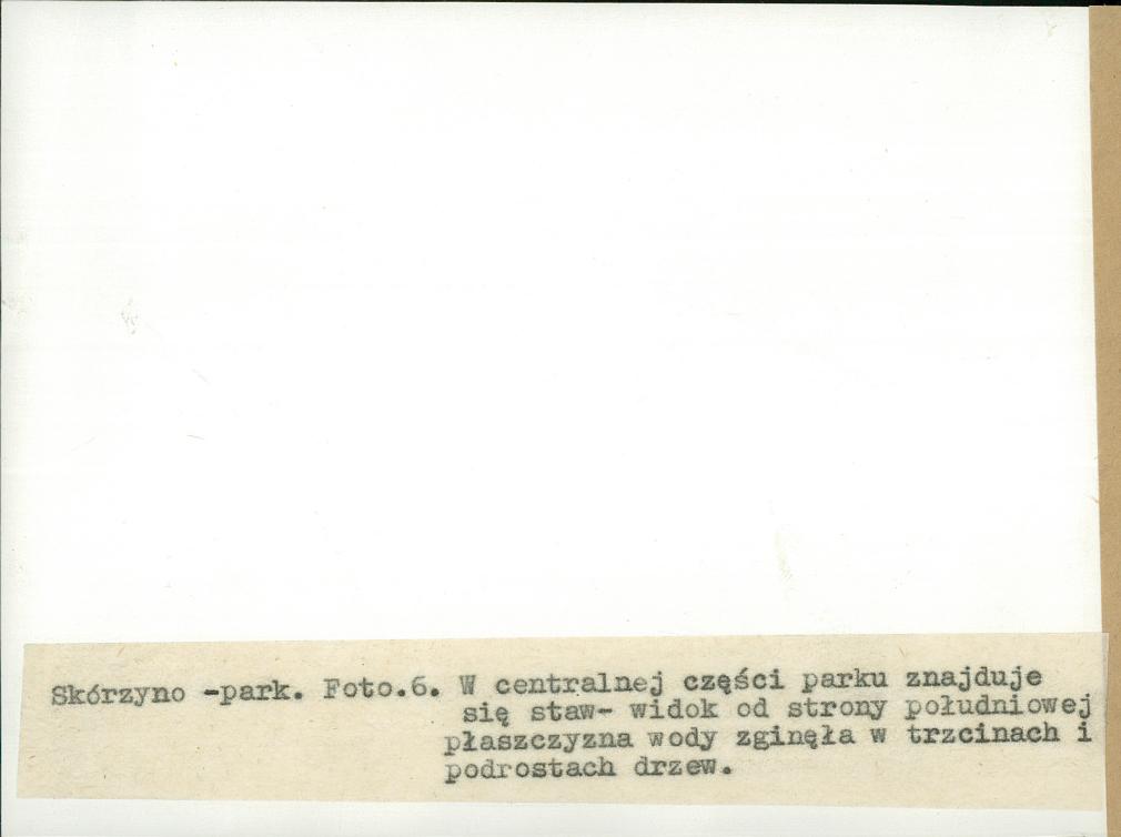 EP - Ewidencja parkowa, skan nr 28