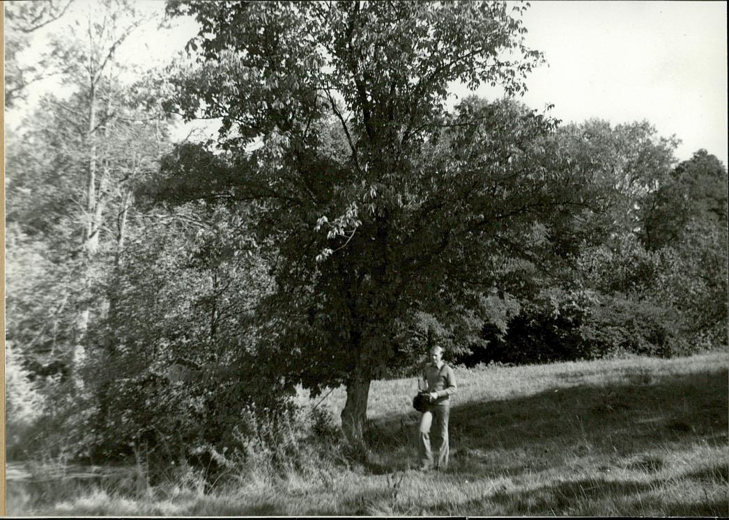 EP - Ewidencja parkowa, skan nr 23