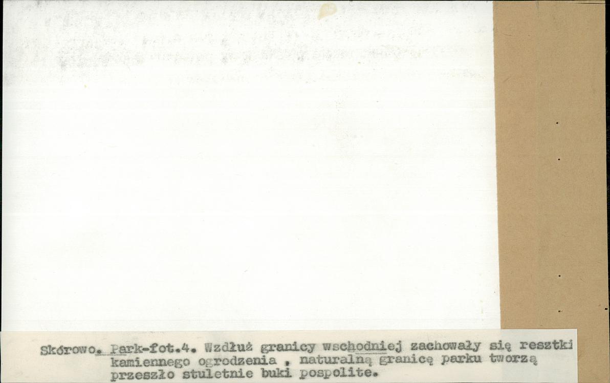 EP - Ewidencja parkowa, skan nr 26