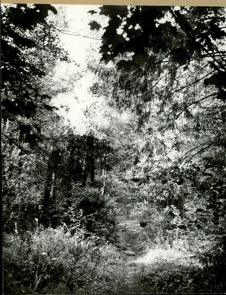 EP - Ewidencja parkowa, skan nr 30