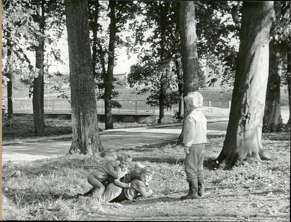 EP - Ewidencja parkowa, skan nr 36