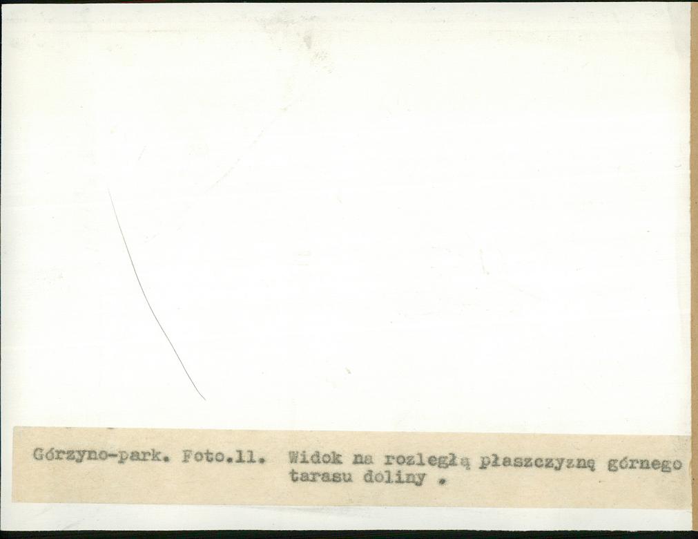 EP - Ewidencja parkowa, skan nr 41