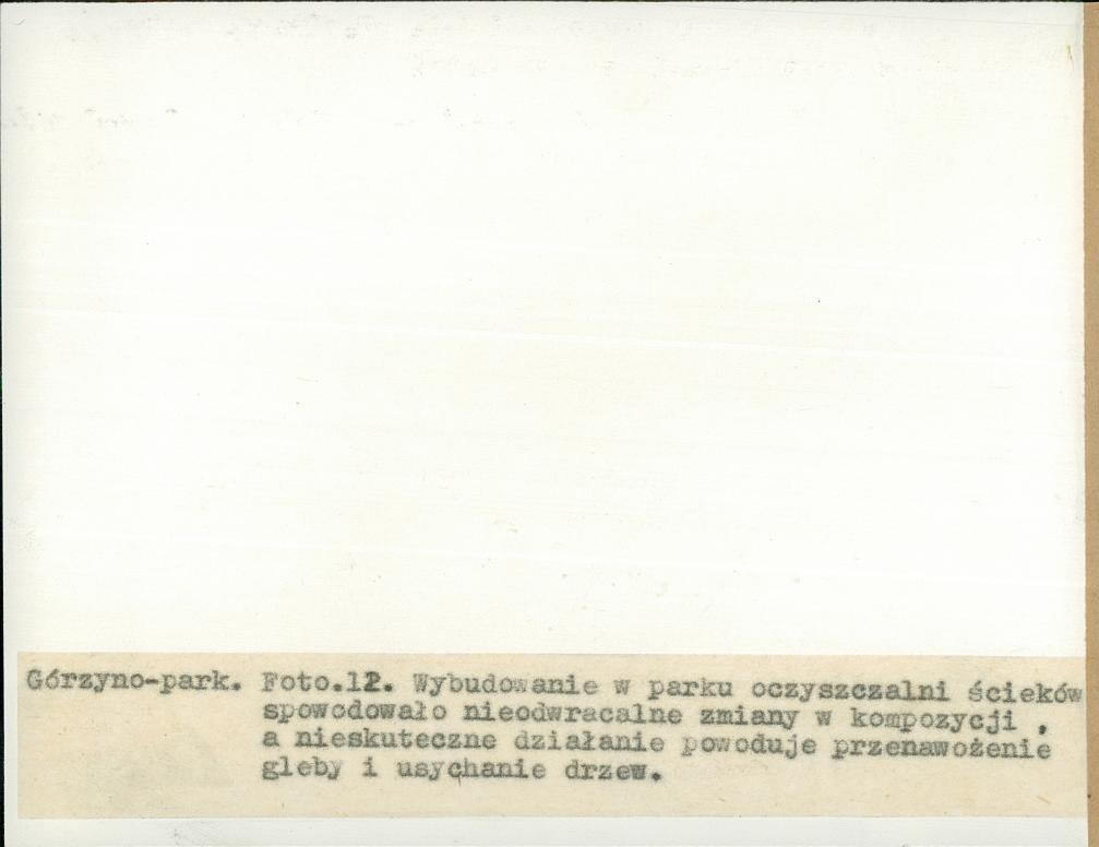 EP - Ewidencja parkowa, skan nr 43