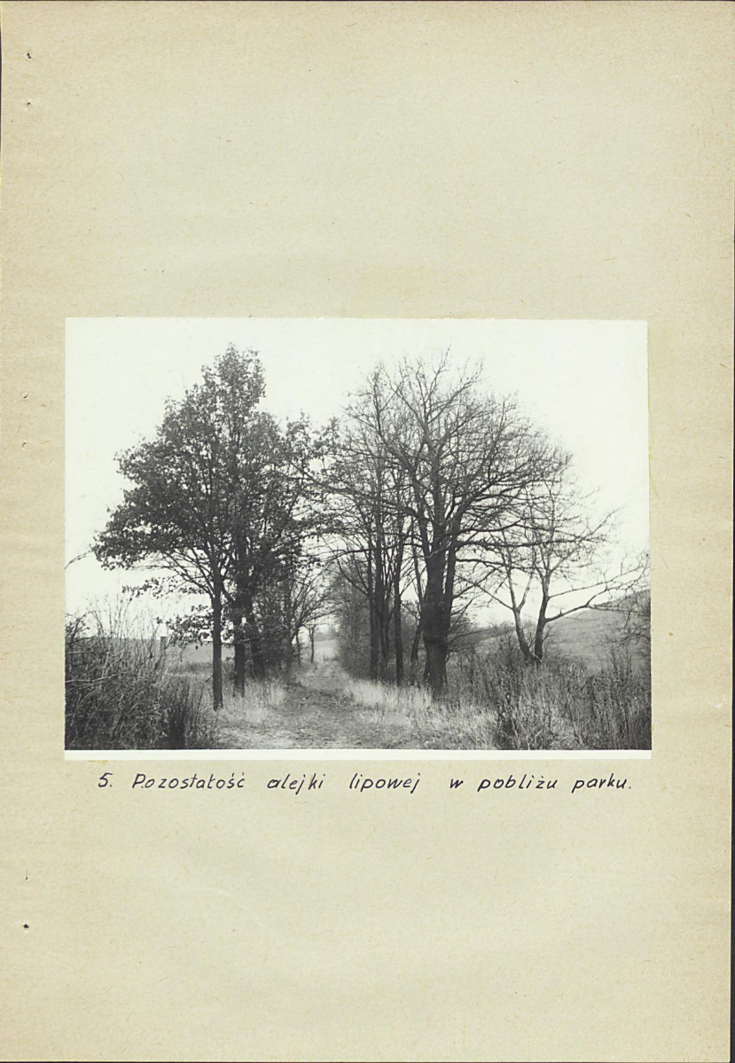 EP - Ewidencja parkowa, skan nr 16