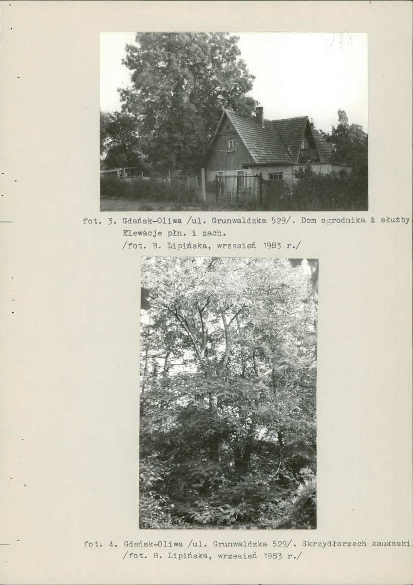 Ewidencja parkowa, skan nr 25