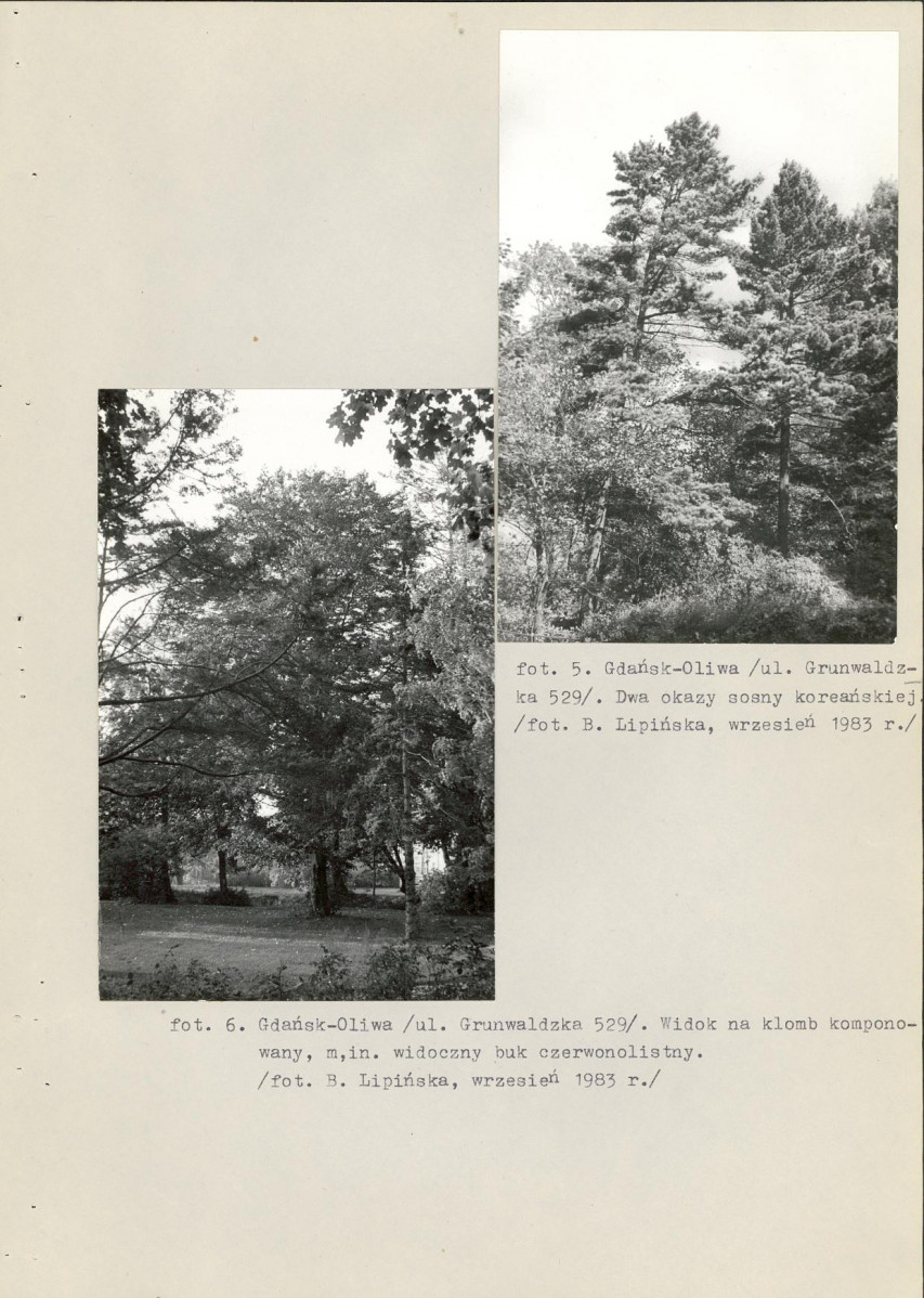 Ewidencja parkowa, skan nr 26