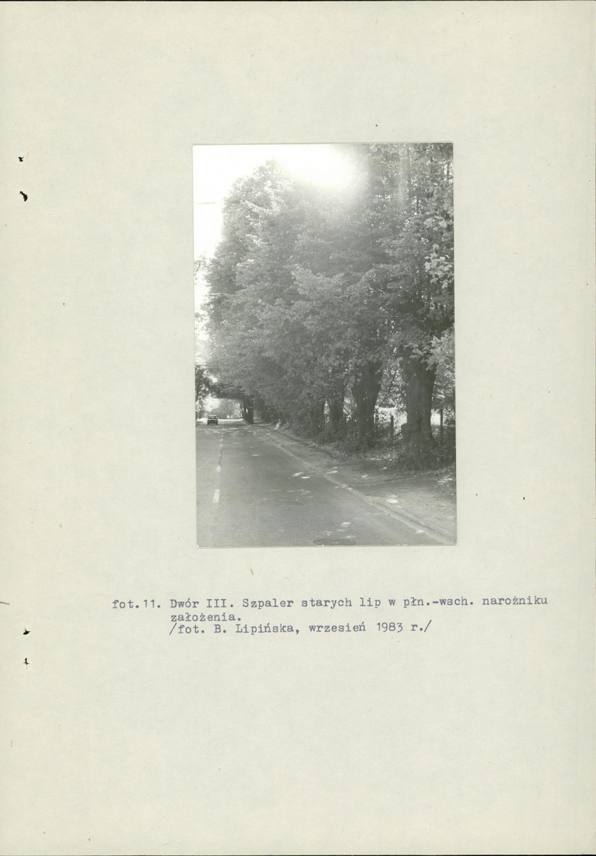 Ewidencja parkowa, skan nr 42