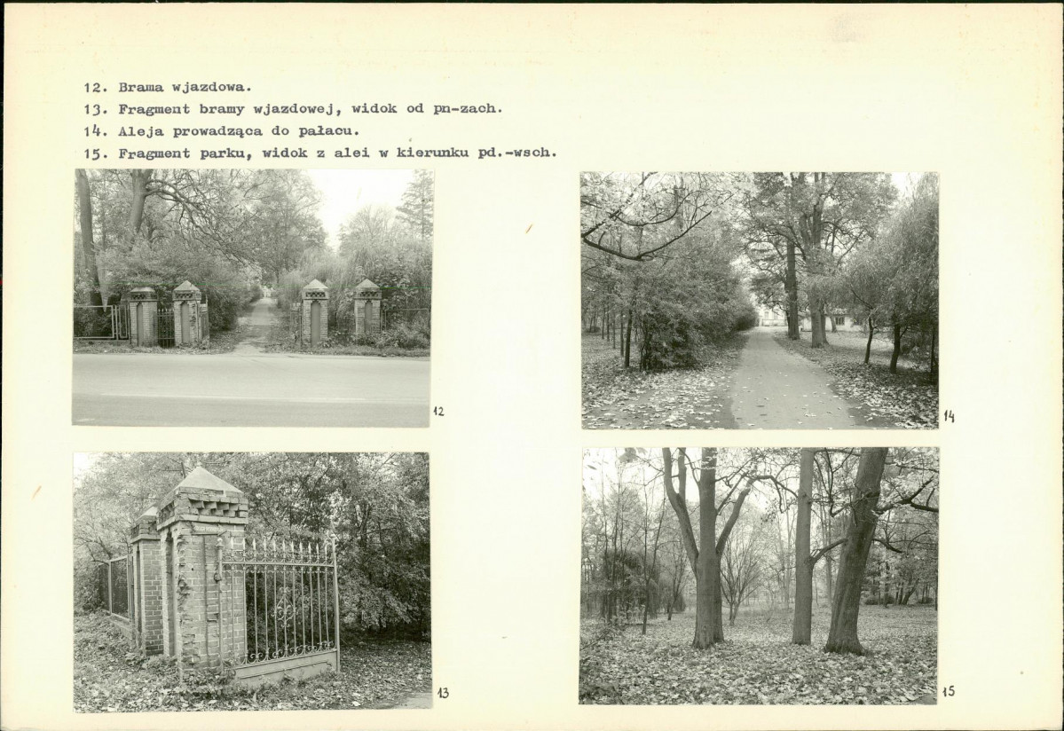 Karta biała, skan nr 8
