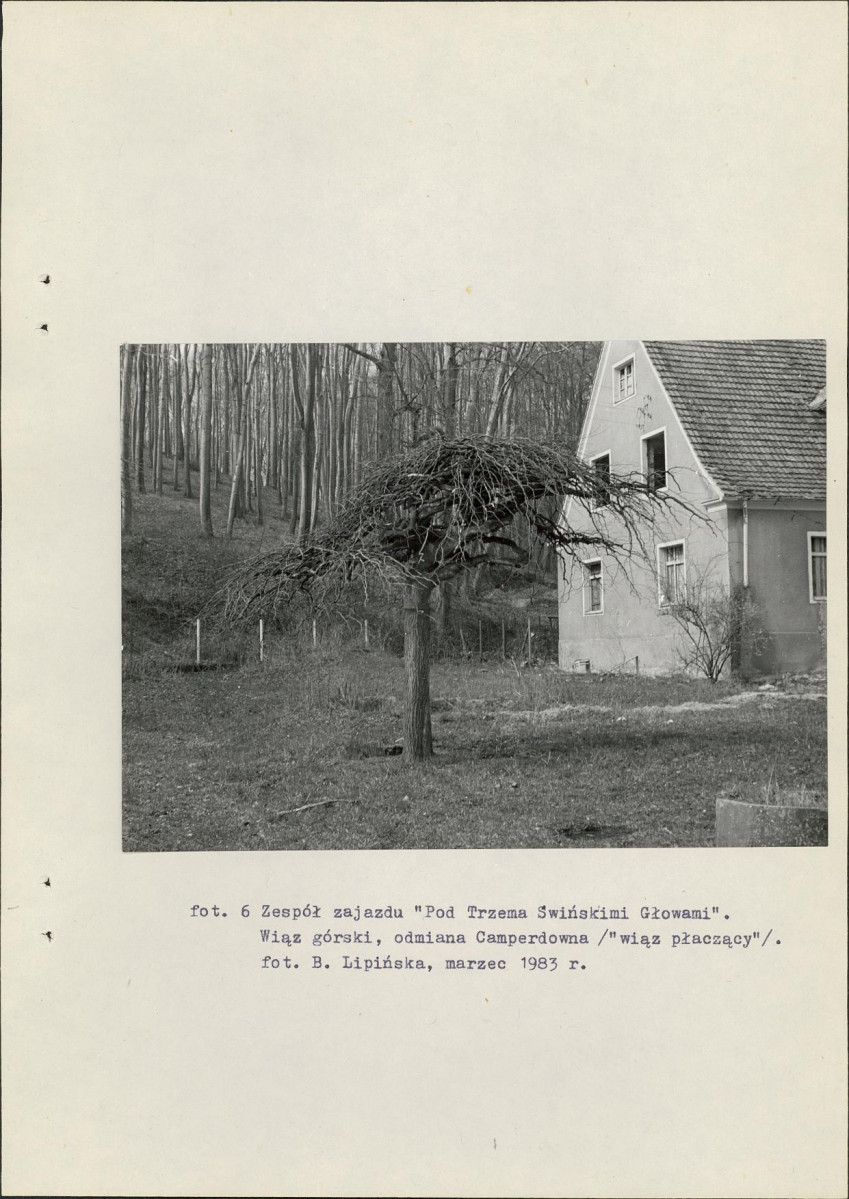 Ewidencja parkowa, skan nr 38