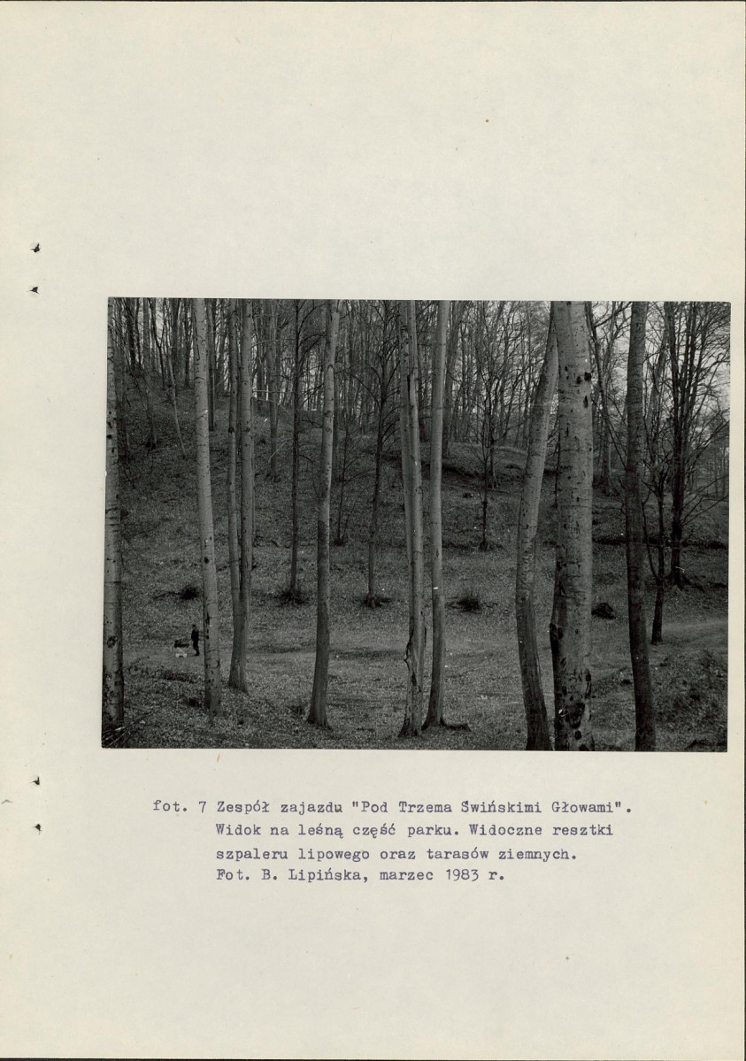 Ewidencja parkowa, skan nr 39