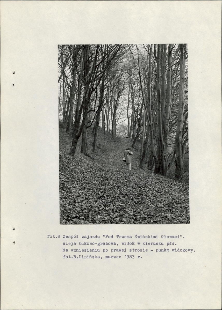 Ewidencja parkowa, skan nr 40