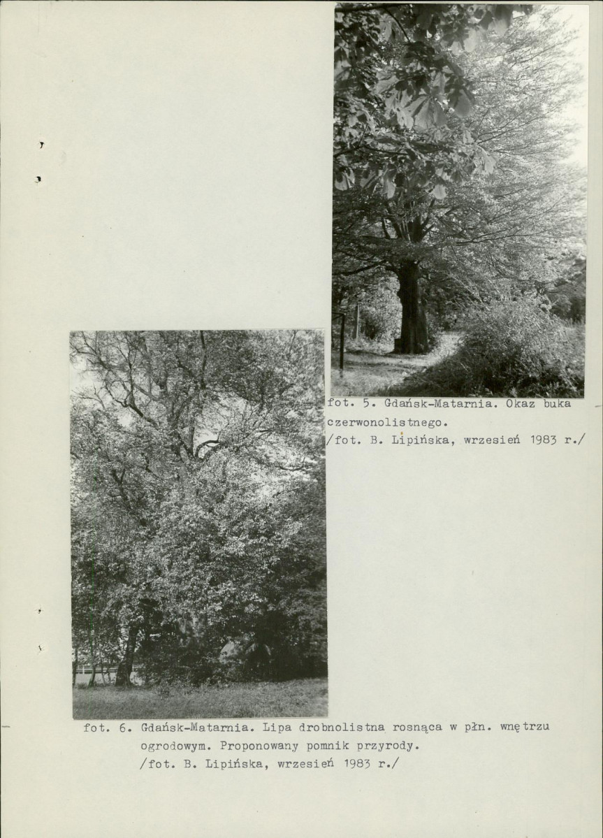 Ewidencja parkowa, skan nr 28