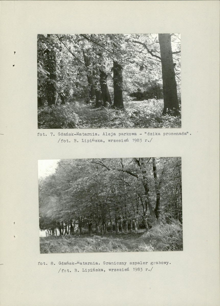 Ewidencja parkowa, skan nr 29