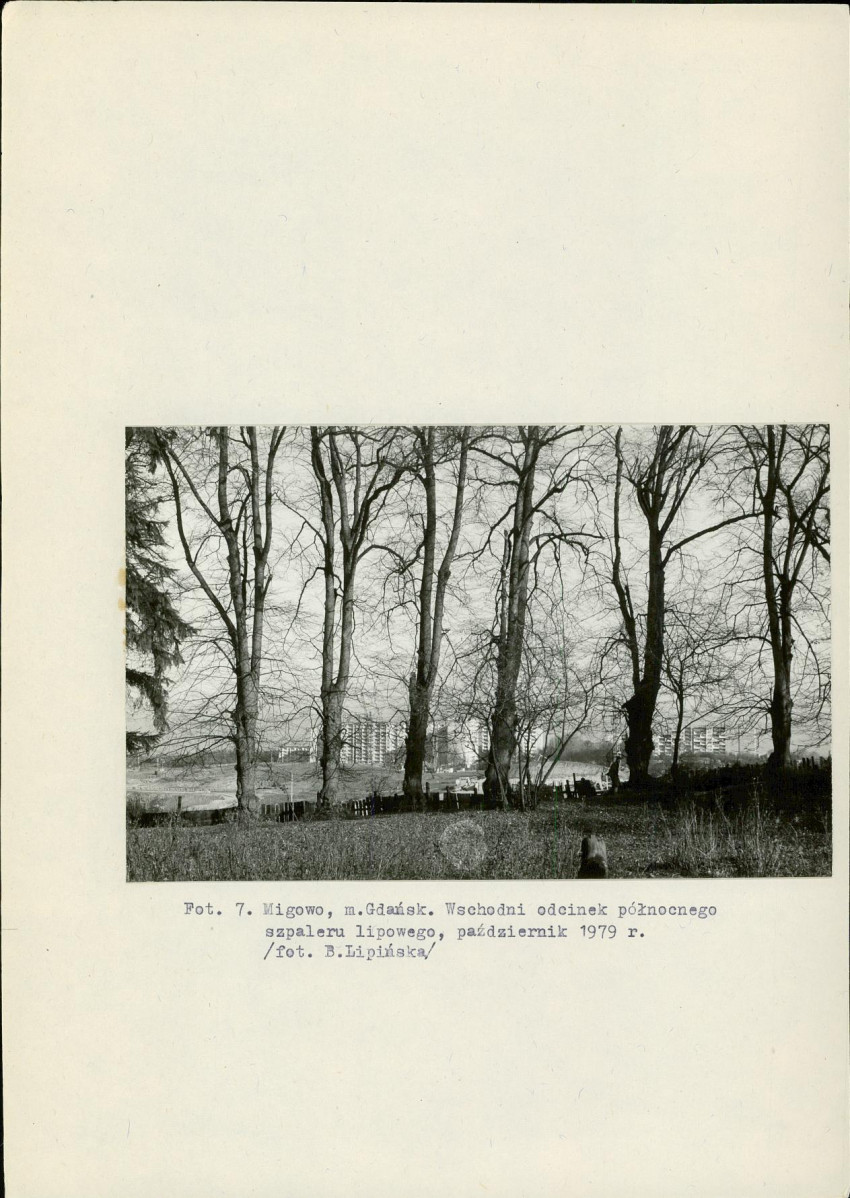 EP - Ewidencja parkowa, skan nr 46