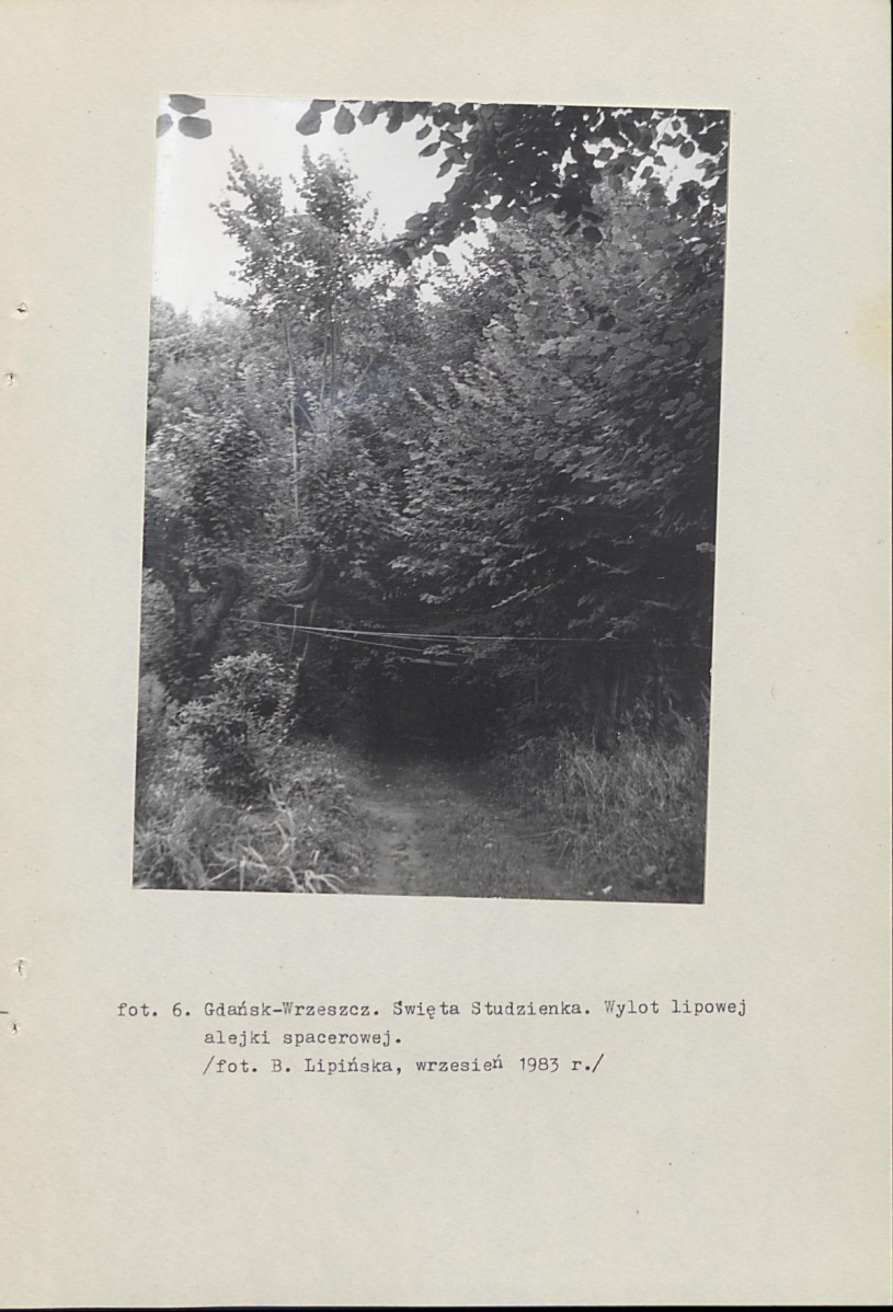 Ewidencja parkowa, skan nr 48